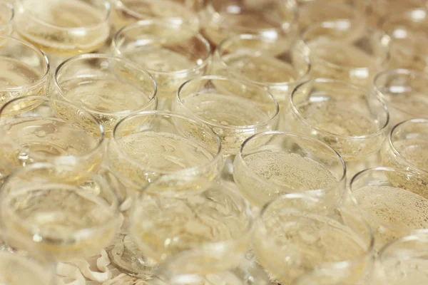 Many glasses of champagne — Stock Photo, Image