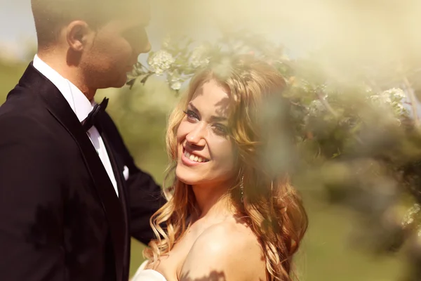 Bride and groom in springtime — Stock Photo, Image
