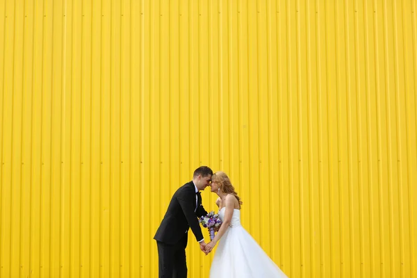Νύφη και γαμπρός σε κίτρινο φόντο — Φωτογραφία Αρχείου