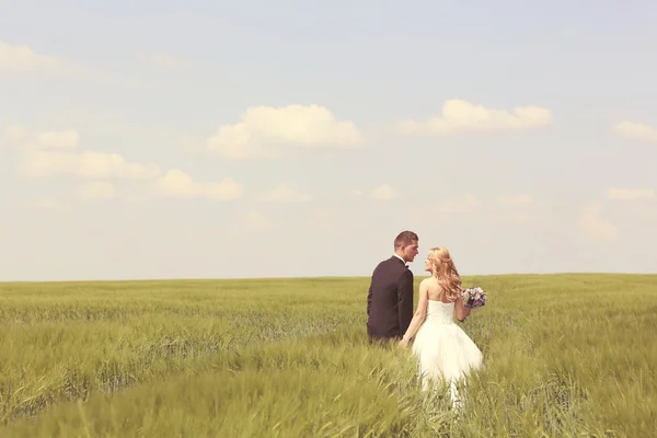 Bride and groom having fun on the fields — Stock Photo, Image