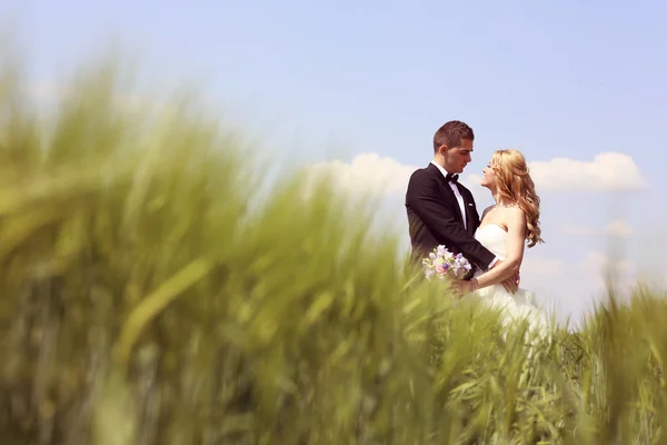 Bride and groom having fun on the fields — Stock Photo, Image