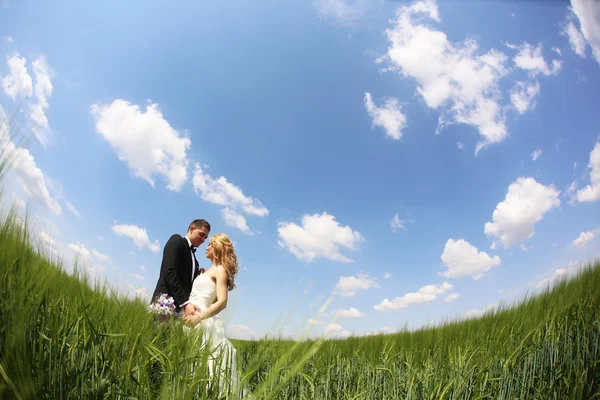 Bride and groom having fun on the fields — Stock Photo, Image