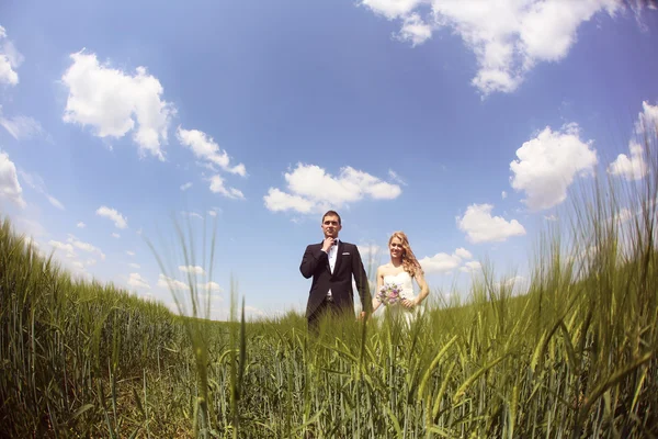 Bride and groom having fun on the fields — Stock Photo, Image