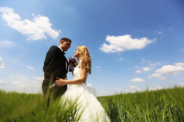 Bride and groom having fun on the fields — Stock Photo, Image