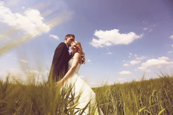 Braut und Bräutigam haben Spaß auf dem Feld — Stockfoto