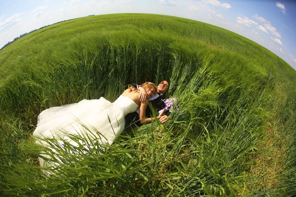 Noiva e noivo se divertindo nos campos — Fotografia de Stock