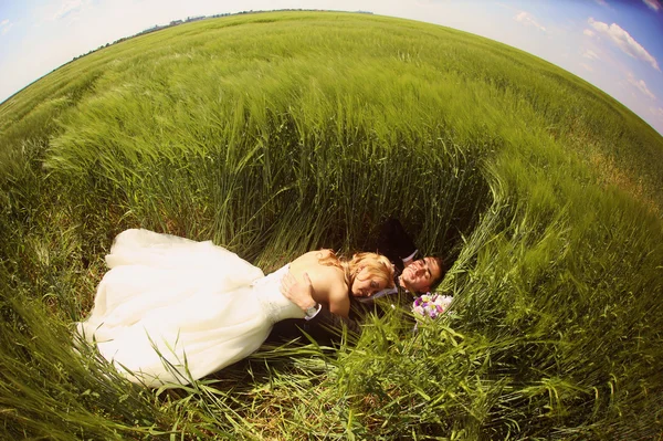 Noiva e noivo se divertindo nos campos — Fotografia de Stock