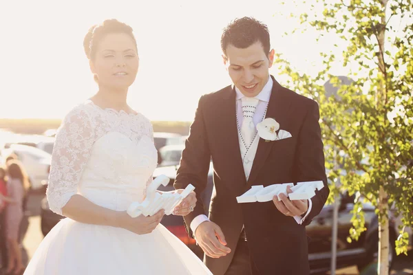 Gelukkige paar op hun trouwdag — Stockfoto