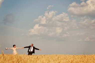 Gelin ve damat alanı