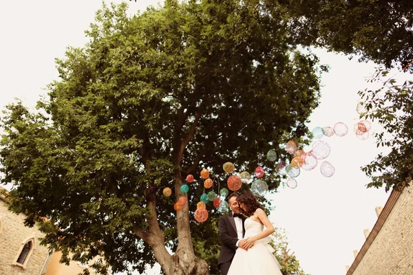 Novia y novio besándose bajo lámparas de colores — Foto de Stock