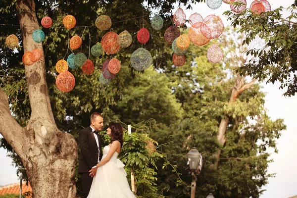 Novia y novio besándose bajo lámparas de colores — Foto de Stock