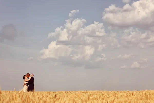 Bride and groom in field — Stock Photo, Image
