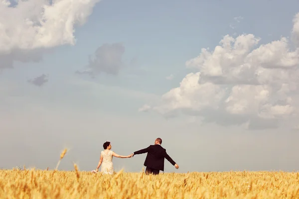 Bride and groom in field — Stock Photo, Image