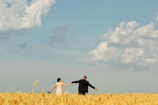 Bride and groom in field — Stock Photo, Image