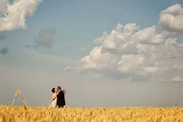 Bride and groom in field — Stock Photo, Image