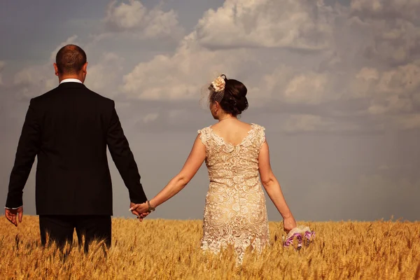 Bride and groom in field — Stock Photo, Image