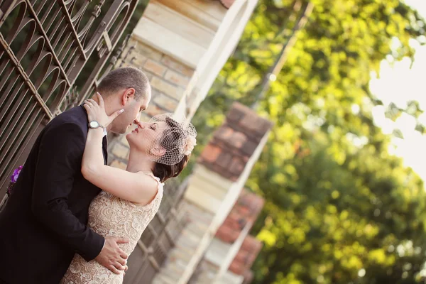 Feliz pareja nupcial — Foto de Stock