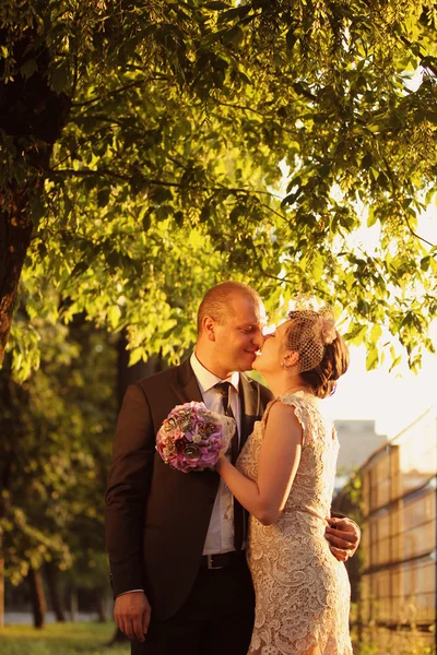 Novia y novio a la luz del sol — Foto de Stock