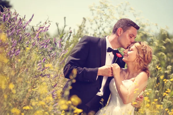 Nevěsta a ženich líbat svou nevěstu v oboru — Stock fotografie
