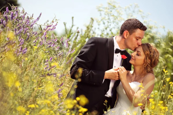 Bruid en bruidegom kussen zijn bruid in veld — Stockfoto