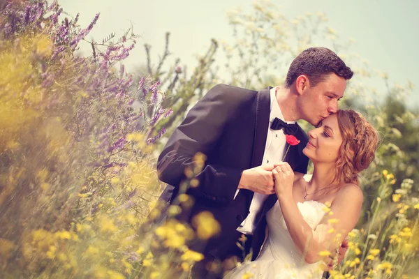 Noiva e noivo beijando sua noiva no campo — Fotografia de Stock