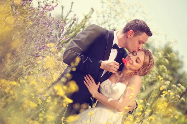 Brudparet kysser sin brud i fältet — Stockfoto