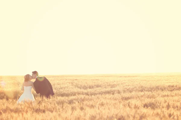 Novia y novio en el campo —  Fotos de Stock