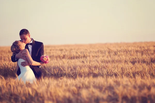 Bride and groom in field — Stock Photo, Image