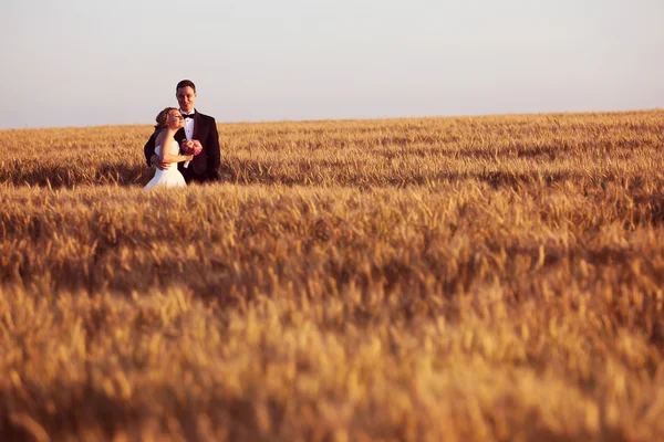 Bride and groom in field — Stock Photo, Image