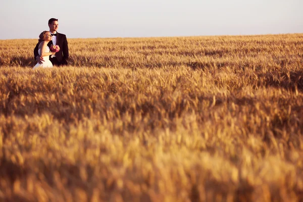 Bride and groom in field — Stock Photo, Image