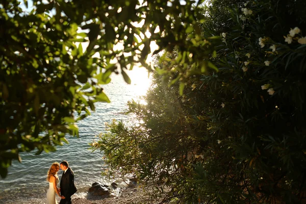 Primer plano de novia y novio en la playa —  Fotos de Stock