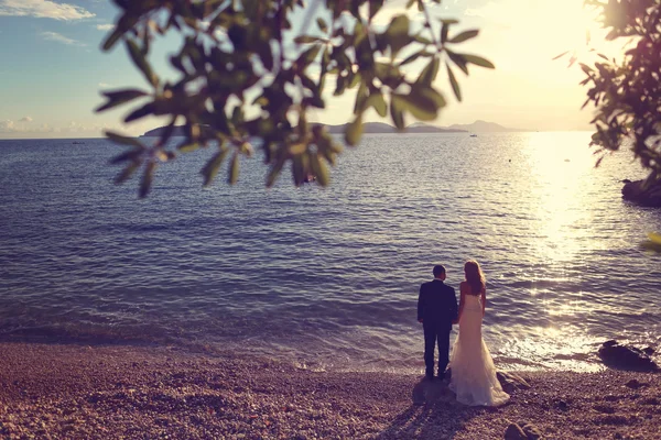 Closeup of bride and groom on the beach — Stock Photo, Image