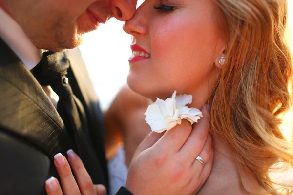 Fechar-se de noiva e noivo beijando — Fotografia de Stock