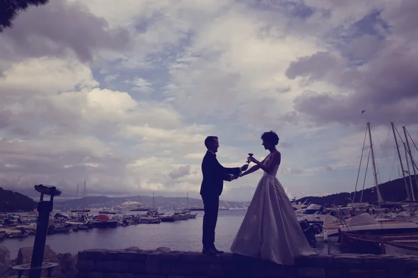 Bride and groom in harbour with boats in background — Stock Photo, Image