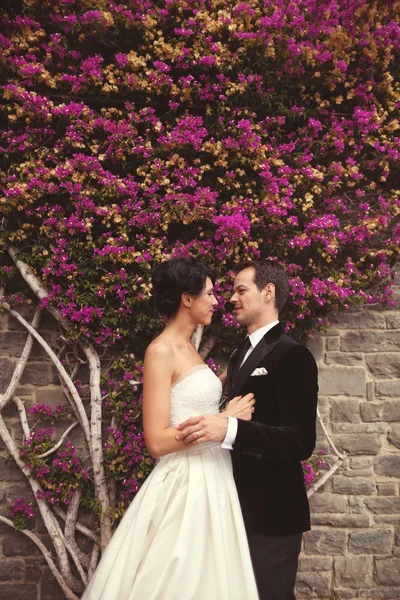 Feliz casal nupcial segurando uns aos outros — Fotografia de Stock