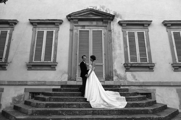 Bruden och brudgummen håller varandra — Stockfoto