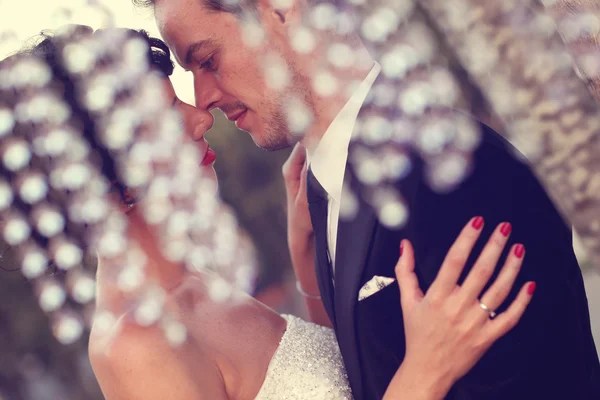 Closeup nevěsta a ženich líbat — Stock fotografie