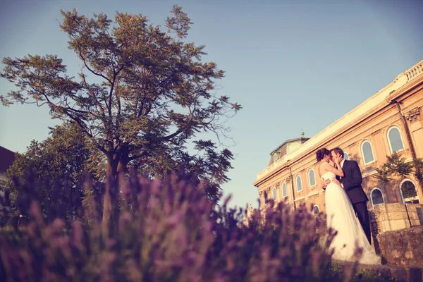 Braut und Bräutigam umarmen sich in der Stadt — Stockfoto
