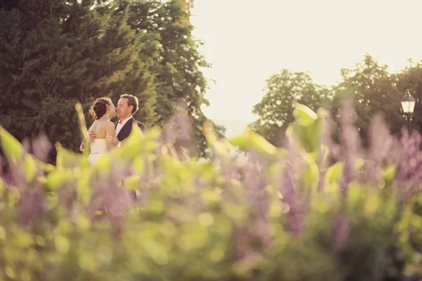 Happy bride and groom in the sunlight — Stock Photo, Image