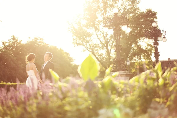 Feliz novia y novio a la luz del sol —  Fotos de Stock