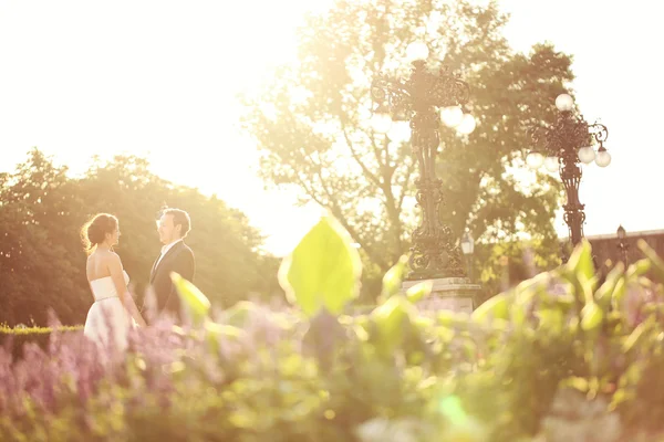 Felice sposa e sposo alla luce del sole — Foto Stock