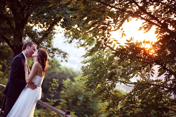 Noiva e noivo beijando à luz do sol — Fotografia de Stock