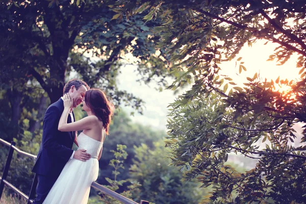 Noiva e noivo beijando à luz do sol — Fotografia de Stock