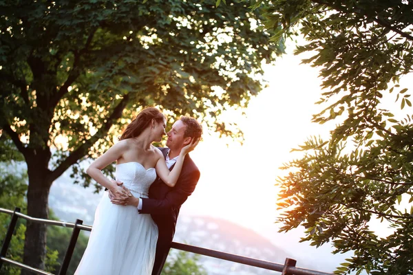 Bruid en bruidegom kussen in het zonlicht — Stockfoto