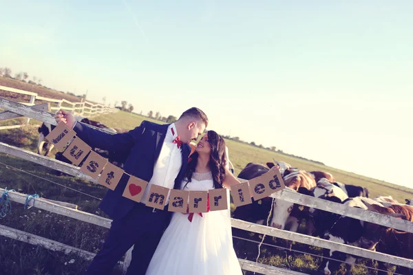 Braut und Bräutigam halten frisch verheiratete Karten in der Nähe des Kuhhofes — Stockfoto