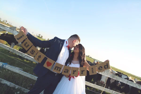 Braut und Bräutigam halten frisch verheiratete Karten in der Nähe des Kuhhofes — Stockfoto