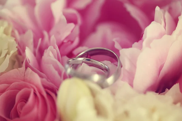 Anéis de casamento em flores — Fotografia de Stock