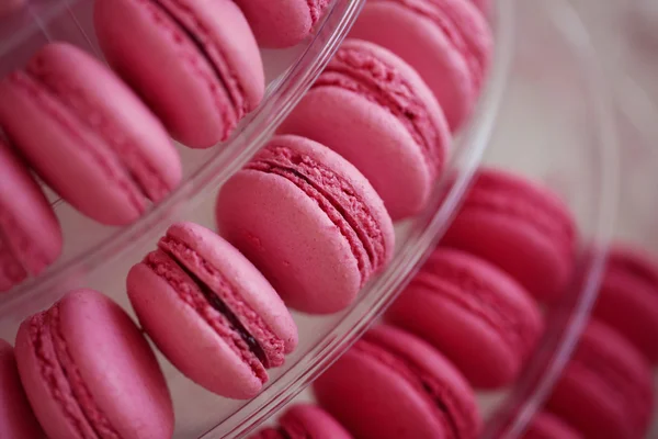 Macaroons cor-de-rosa na placa arredondada — Fotografia de Stock