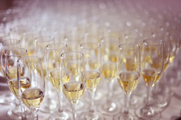 Many glasses of wine — Stock Photo, Image