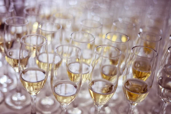 Vele glazen wijn — Stockfoto